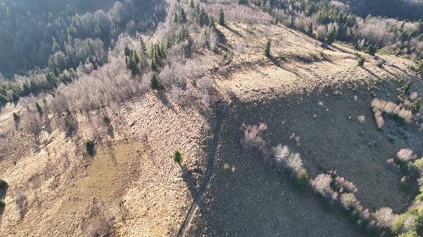  - фото нерухомості